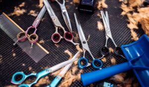 In-Home Senior Hairdresser Singapore