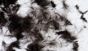 Singapore Senior Hairstyling Services