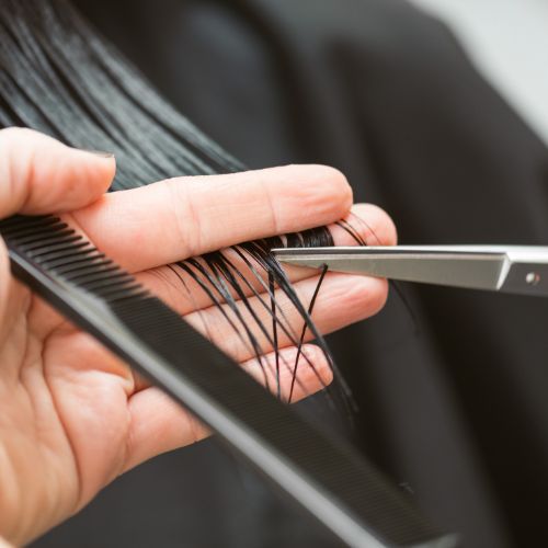 Mobile Hairdressing Services for Seniors Singapore