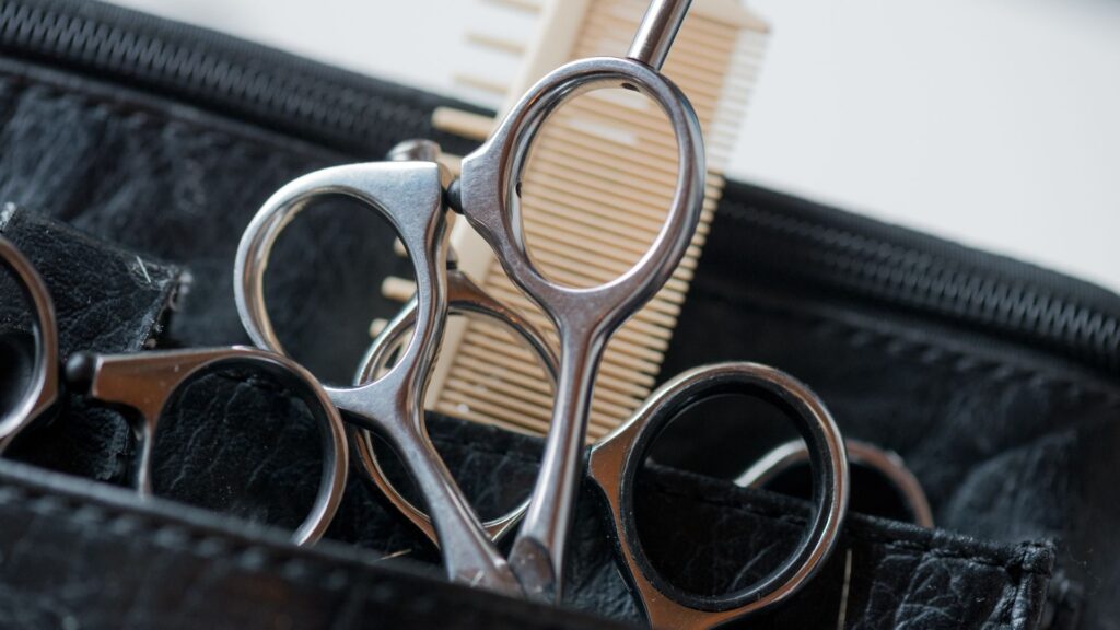 Mobile Hairdressing Services for Seniors Singapore